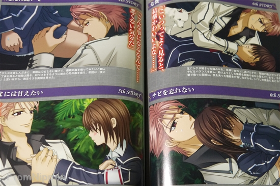 Vampire Knight Dating Game Ds