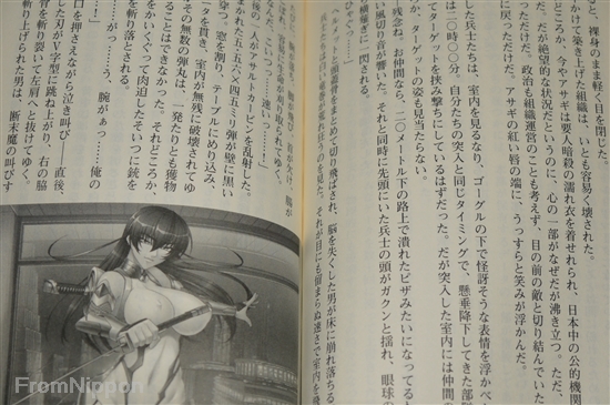 Japan Novel Taimanin Asagi 3 Saikyou No Taimanin Igawa Asagi 1~2