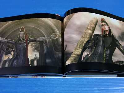 Bayonetta Witch of Vigrid Platinum Games Art book japan  