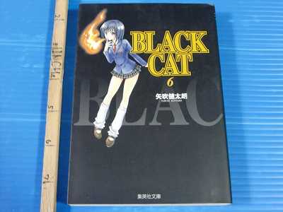 BLACKCAT色紙 矢吹健太朗 直筆サイン 漫画 BLACK CAT サイン 矢吹