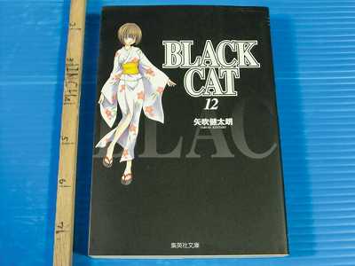 JAPAN Kentaro Yabuki manga LOT: Black Cat vol.1~12 Complete