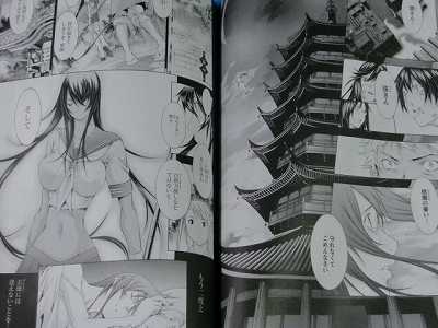 Featured image of post Ikki Tousen Manga