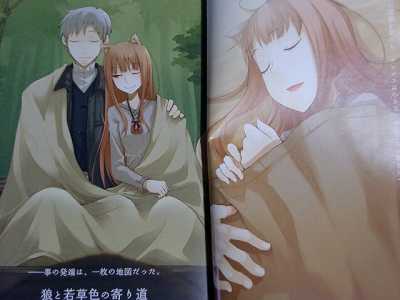 Spice and Wolf Novel 1~17 Complete Set Isuna Hasekura  