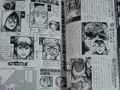 JAPAN Higanjima Guide book Tebikisho Rei