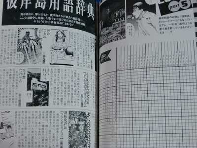JAPAN Higanjima Guide book Tebikisho Rei