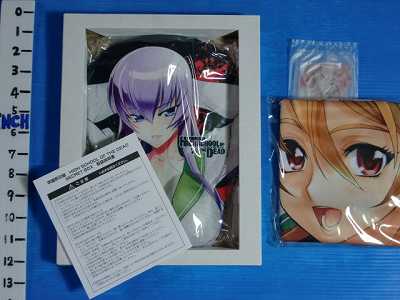 Highschool of the Dead Secret Box 2010 Japan  