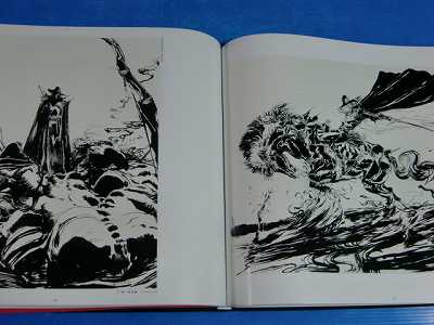 Yoshitaka Amano Vampire Hunter D Kanoke Art book 1997  