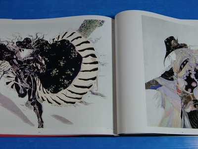 Yoshitaka Amano Vampire Hunter D Kanoke Art book 1997  