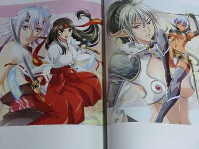 Rin Shin Visual Art Works Queens Blade Battle Vixens  