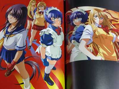 Rin Shin Visual Art Works Queens Blade Battle Vixens  