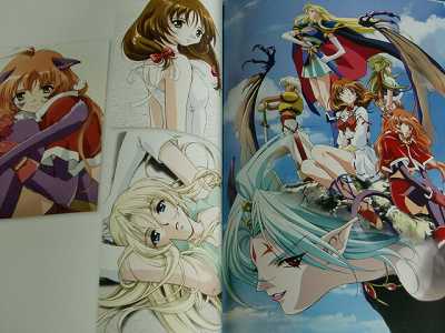 Rin Shin Visual Art Works Queens Blade Battle Vixens  