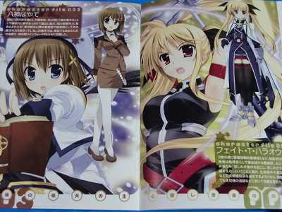 Magical Girl Lyrical Nanoha Vivid Manga 3 Limited 2011  