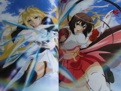 Sekirei Visual Collection 2010 Japan book  