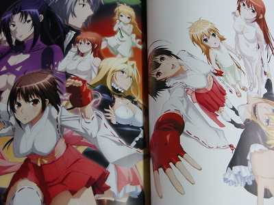 Sekirei Visual Collection 2010 Japan book  