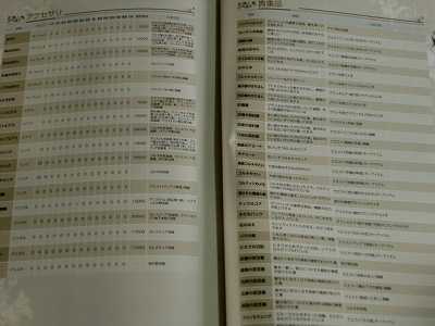 Radiant Historia Starting Guide 2010 Japan book  
