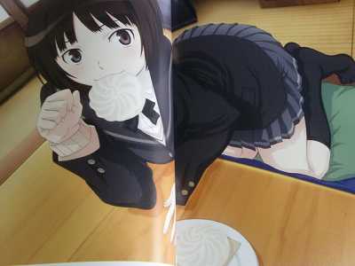 Amagami SS Visual Fan Book 2011 Japan  