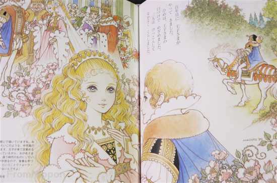 JAPAN Makoto Takahashi Art book/Picture Book Macoto no Ohimesama 