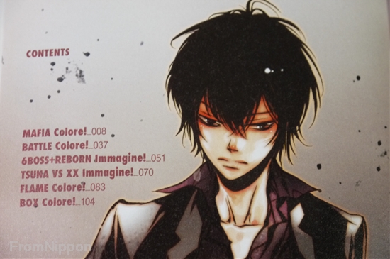 Akira Amano - Reborn Official Visual Book Reborn Colore Art