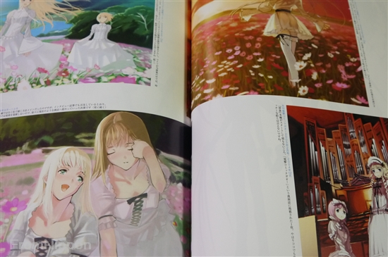 JAPAN Kiyotaka Haimura Art book rainbow spectrum:colors (A