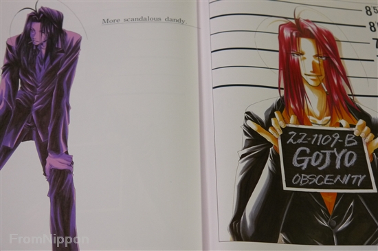 ❉専用❉ K✩さま Mega Man ZX - Official Complete Guide Book, Japan Edition | eBay