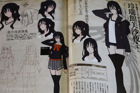 Japan Fate Book Fate Prototype Tribute Phantasm Ebay