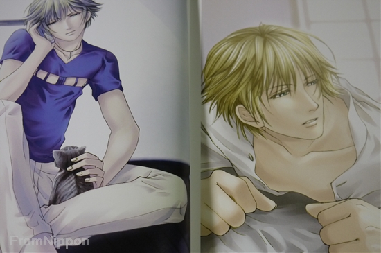 Tokimeki Memorial Girl's Side Illustrations - Japanese Art