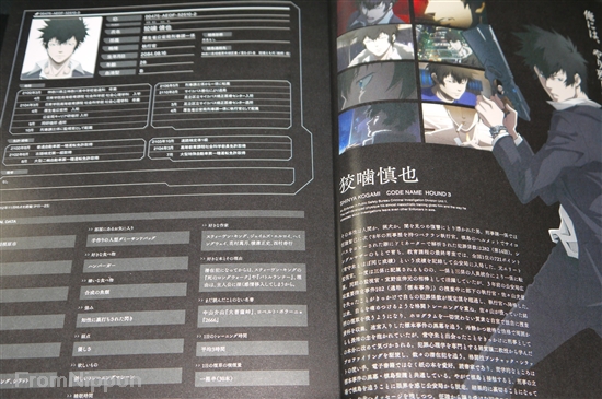 Psycho-Pass Official Profiling Book (Production I.G