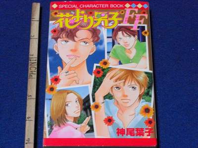 Hana yori Dango SPECIAL CHARACTER BOOK Youko Kamio OOP  