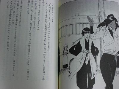 BLEACH novel Honey Dish Rhapsody with PINUP Taito Kubo  